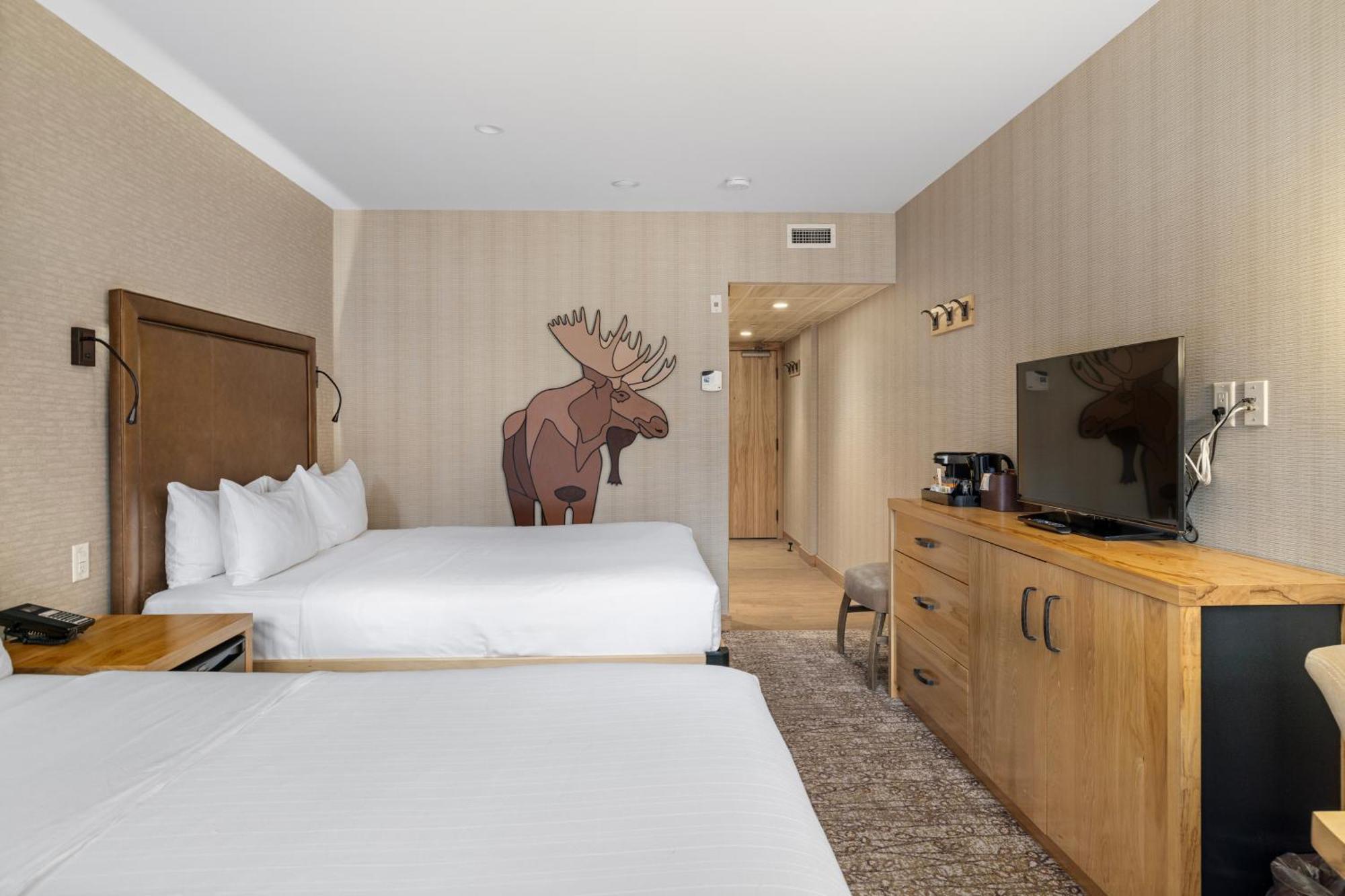 Superior Hotel Room 2 Queens Accessible